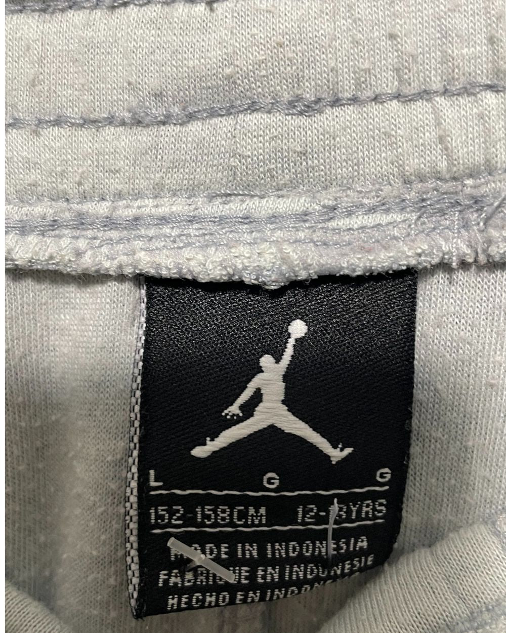 Jordan Blue Sport Trouser For Men Small